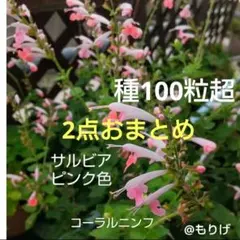 イチロ－様 リクエスト 2点 まとめ商品