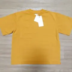 Item thumbnail for item 56b59000-823e-4015-a440-1a6d8f17df3a