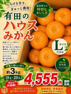 【和歌山県産】有田ハウスみかん Lサイズ 約3kg 18玉-20玉　みかんキングのサムネイル