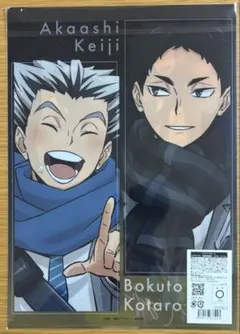 ハイキュー　コスモワールド　クリアファイル　梟谷　木兎光太郎　赤葦京治　匿名配送