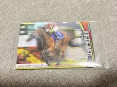 サラブレッドホースコレクション ツインウエハース カード ブレイディヴェーグ
