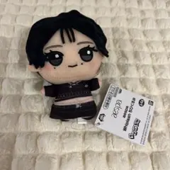 2026年最新】AESPA ウィンター ぬいぐるみの人気アイテム - メルカリ