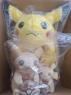 新品 ポケモン 30周年記念 ピカチュウ ぬいぐるみ 3種セット