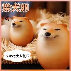 シバコ アクセサリー