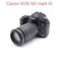 2026年最新】canon eos 5d mark ii レンズの人気アイテム - メルカリ