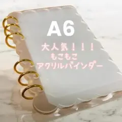 A6 アクリルバインダー クリア セービング もこもこ バインダー貯金 人気