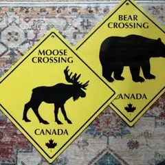 インテリア アルミサイン 看板 雑貨 壁掛け ガレージ　カナダ　アメリカ　クマ