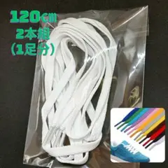 靴紐 白 運動 2本組 シンプル 平紐 120㎝ スニーカー用 替え紐 軽量