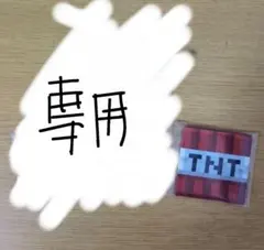 専用ページです