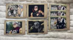 鬼滅の刃　宇髄天元　ぱしゃこれ　カード　遊郭編