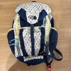 THE NORTH FACE TELLUS 20 バックパック　レインカバー付き