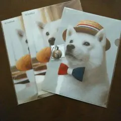 SoftBank　お父さん　クリアファイルとクリーナー