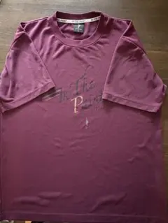 Item thumbnail for item 2f5655cb-1dfc-4db7-96ad-4d2371129c72