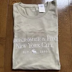 新品タグ付き Abercrombie＆Fitch Tシャツ グリーンのサムネイル