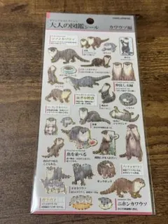 大人の図鑑シール　カワウソ編