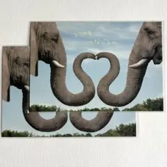 Item thumbnail for item 5995c1f6-2b5d-417b-8f36-ac9569e7bd17