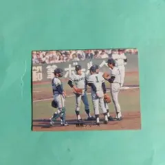 カルビープロ野球チップスカード 1981年No.378巨人、セリーグ優勝