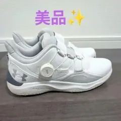 2026年最新】UNDER ARMOUR ゴルフ シューズ(男性用)の人気アイテム