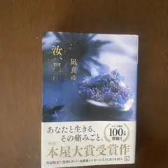 汝、星のごとく　　凪良ゆう　文庫版