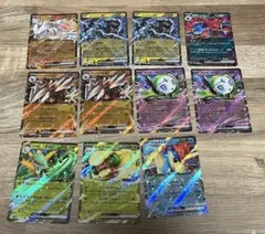 ブラックボルトホワイトフレアRR11枚セット