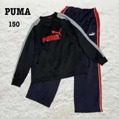 PUMA ジャージ　上下セット　薄手長袖ロンT 長ズボン　黒×赤系　150