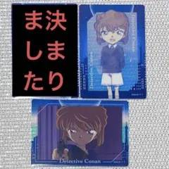 名探偵コナン オーロラアートコレクション 灰原哀