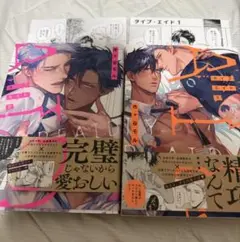タイプ・エイド　1 、2巻セット　市ヶ谷モル　アニメイト特典付き