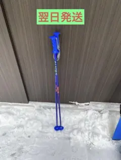 【ジュニア】青色 100cm スキー用ストック