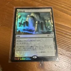 MTG 聖遺の塔 プロモ Foil