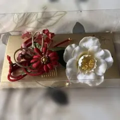 Item thumbnail for item 9f650298-2f84-41a3-bad9-aa0a12770fd3