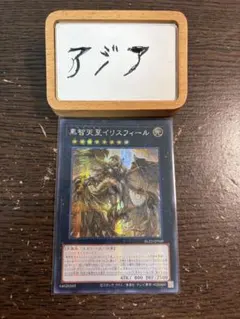 アジア 遊戯王 黒智天至イリスフィール シークレット 1枚 アジア版 亜シク