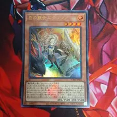 ☆値段交渉歓迎☆遊戯王【SE3枚 教導の聖女エクレシア】白の物語