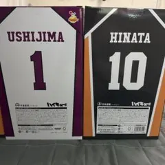 ハイキュー 一番くじ フィギュア 日向翔陽 牛島若利 ラストワン A賞 セット