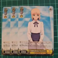 ヴァイスシュヴァルツ 清楚な佇まい セイバー
