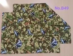 新品ランチョンマット2枚セット《No.B49》