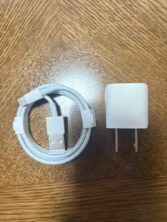 USB電源アダプタ & Lightningケーブル【新品未使用・純正品】