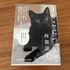きりこについて 西加奈子 角川文庫