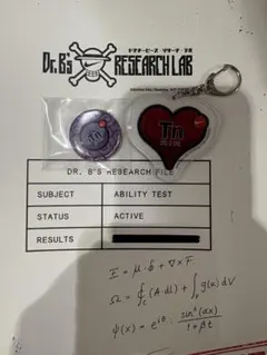 NIKE ONE PIECE キーホルダー 缶バッジ　セット　ナイキ　ワンピース