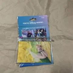 ディズニー　リゾート　イマジニングザマジック スライドジップケース