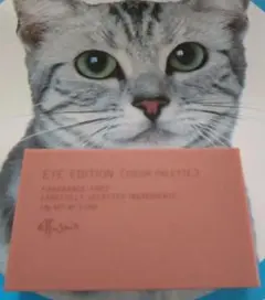 エテュセ アイエディション カラーパレット 11 ロゼウッド