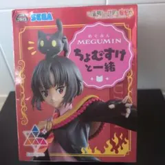 この素晴らしい世界に爆焔を!　Luminasta　めぐみん　ちょむすけと一緒