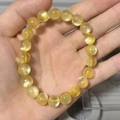 2026年最新】ゴールデンマイカの人気アイテム - メルカリ