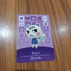 あつ森　amiiboカード　ジュン　あつまれどうぶつの森