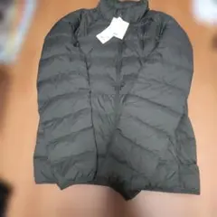 Item thumbnail for item f35efdc7-142b-40b1-b634-39d168629f52