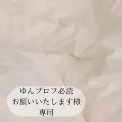 ゆんプロフ必読お願いいたします様専用ページです