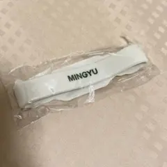 ミンギュ/ラバーバンド