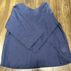 Item thumbnail for item ba13224d-c0de-4c77-a756-70d433348a91