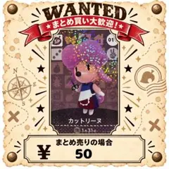 カットリーヌ　amiibo あつ森　アミーボカード　③