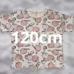 PEANUTS スヌーピー 桃柄 Tシャツ 120cm