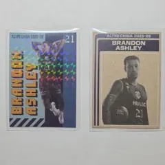 アルティーリ千葉　トレーディングカード　BRANDON ASHLEY選手